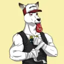 kangaroofightsociety#2161