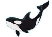 ORCA