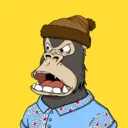 ChilledKong7181