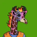 GenuineGiraffe_1808