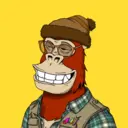 ChilledKong2840