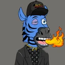 ZESTYZEBRA4611
