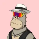 ChilledKong4467