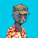 ALLEYKATZ02439