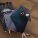 Retarded Pigeon