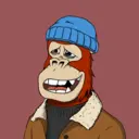 ChilledKong3544