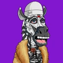 ZESTYZEBRA859