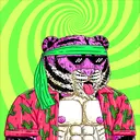 Tigerz1028