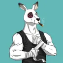 kangaroofightsociety#196