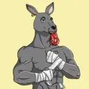 kangaroofightsociety#1798