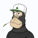 ChilledKong4918