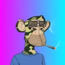 CardanoBoredApe44