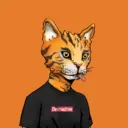 ALLEYKATZ01747