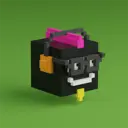 metaPXL6635