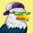 Hawk #0810