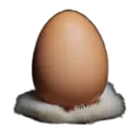 EGG