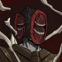 ShadowVeil2457