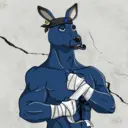 kangaroofightsociety#4279