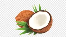 COCONUT