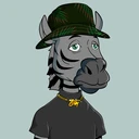 ZESTYZEBRA5374