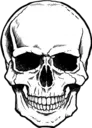 SKULL