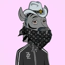 ZESTYZEBRA2715
