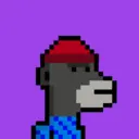MonkeyWifhat3359