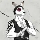 kangaroofightsociety#917