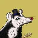 Possum #3447