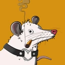 Possum #4534
