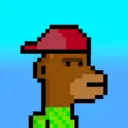 MonkeyWifhat2916