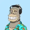ChilledKong3127