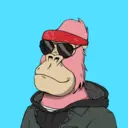 ChilledKong0042