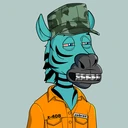 ZESTYZEBRA3216
