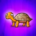 AwkwardTurtles643