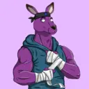 kangaroofightsociety#1027