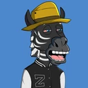 ZESTYZEBRA582