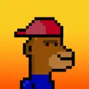 MonkeyWifhat2105