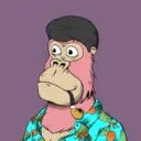 ChilledKong2456
