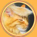 TRUMPCAT