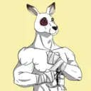 kangaroofightsociety#2381