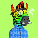 ZESTYZEBRA1758