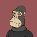 ChilledKong0480