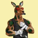 kangaroofightsociety#568