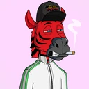 ZESTYZEBRA3005