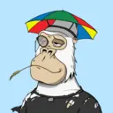 ChilledKong2453