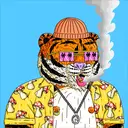 Tigerz3566