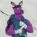 kangaroofightsociety#2289