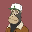 ChilledKong8157