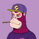 MagicKong6954